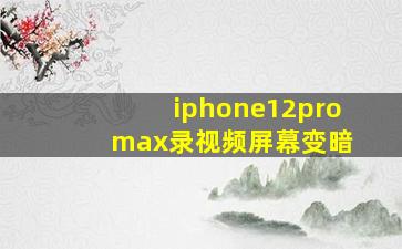 iphone12pro max录视频屏幕变暗